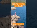 第52回報知グレトーナメント名人戦 #shorts #磯釣り #fishing #釣り #尾鷲#グンカン2022年11月27日 村岡名人