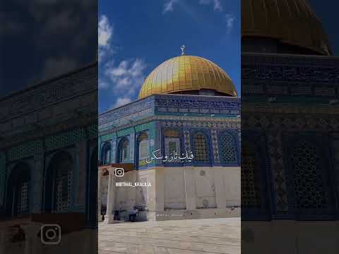 فيك هذا القلب هام