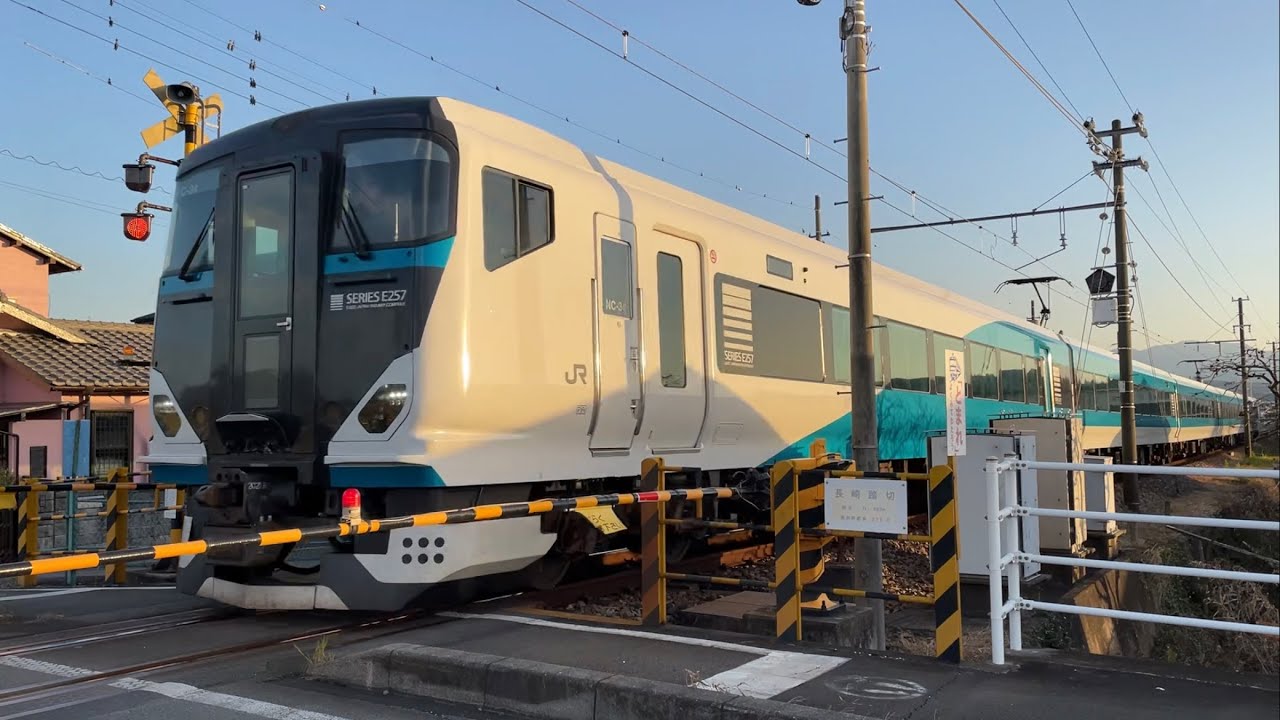 伊豆箱根鉄道】特急踊り子16号 東京行き E257系NC34編成 原木〜伊豆