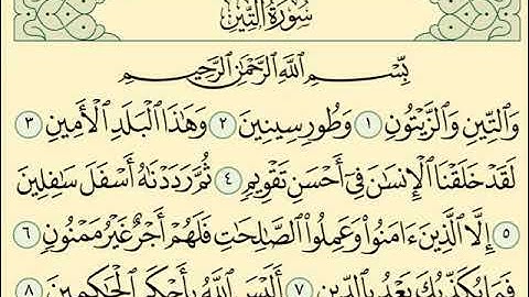 سورة التين مكررة 7 مرات الشيخ سعد الغامدي  Saad Al Ghamdi  surat altyn