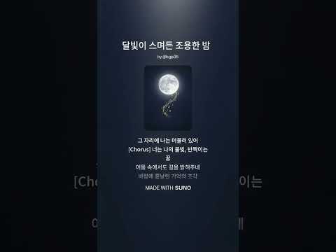 달빛이 스며든 조용한 밤