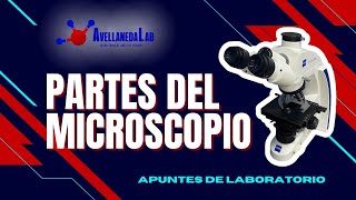 Partes Del Microscopio