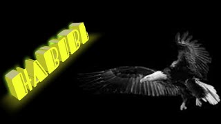 Download Lagu Andrei grs x dj gimi-o habibi (remix) bgm.#arabicbgmringtone . MP3