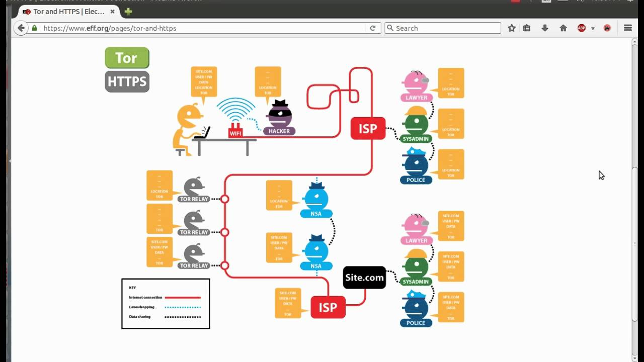 what is the the tor project what is the the tor project
