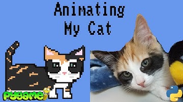 Pygame Animation Tutorial: How to Animate a Player Character