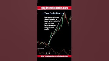 Silver Trend Momentum Forex Trading Strategy