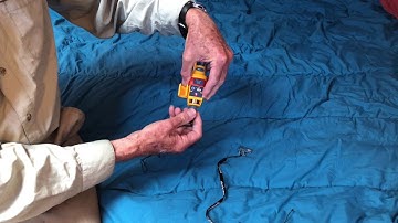 MOB1 Activation and Rearm