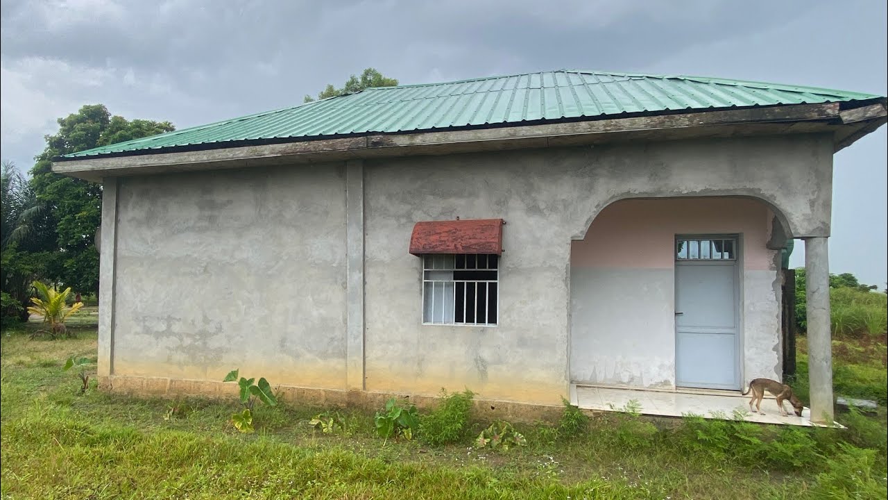 23/02/2026 FERME DE 10 HECTARES AVEC ARBRES FRUITIERS À VENDRE Q/NDAKU PEMBE C/MALUKU 📞+243996527894