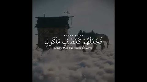 سورة الفيل | surah al feel