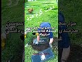 نمیدانم چگونه و با چه جمله ای دمت گرم سوسن کم کسی نبود خواننده ای بود که خیلی کمک می کرد به مردم 