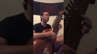 Raga Saraswati -On experimental surbahar