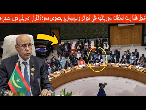 عاجل هكذا ردت السلطات الموريتانية على الجزائر والبوليساريو بخصوص مسودة القرار الأمريكي حول الصحراء