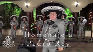 Video-Miniaturansicht von „HOMENAJE A PEDRO REY - MARIACHI CORONA (gga producciones)“