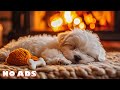 12 Hours of Soothing Dog Music to Ease Separation Anxiety🐕‍🦺Healing Music for Dogs Left Home Alone