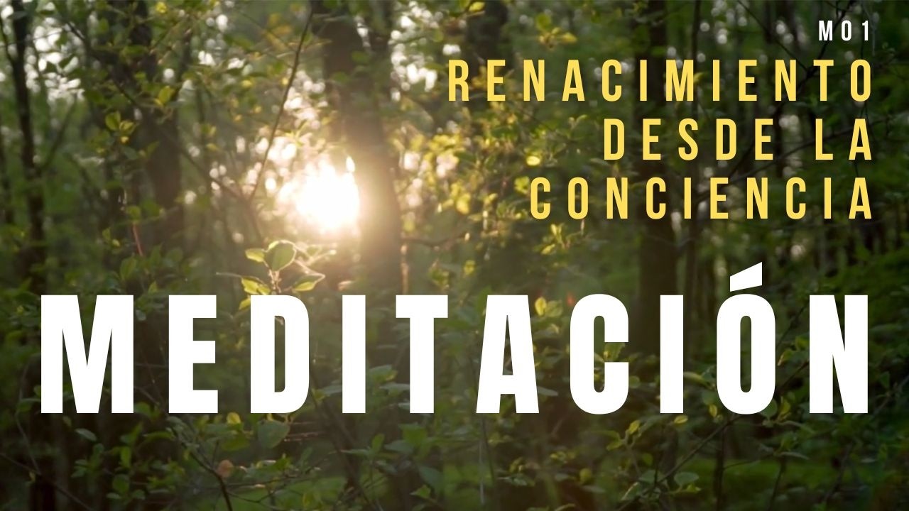 Meditación y Transformación | Renacer y Conectar con tu Propósito