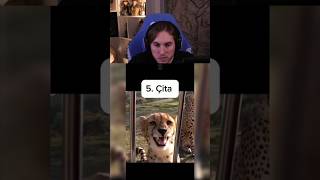 Rraenee Aynı Battal Gibi