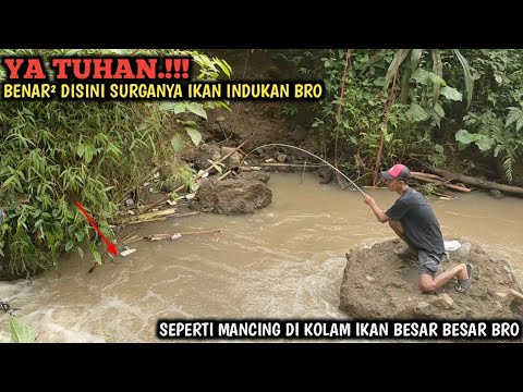 ASTAGA.!!! SPOT INI IKANNYA BESAR BESAR SEMUA || MANCING PAKAI UMPAN MURAHAN HASILNYA SULTAN BRO