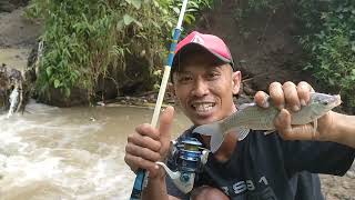 OH MY GOD!!! THIS SPOT HAS HUGE FISH || FISHING WITH CHEAP BAIT, THE RESULTS ARE SULTANIC, BRO