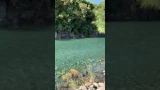 Maples River Aguilar, Pangasinan Philippines