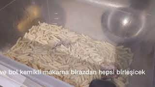 Evde Köpek Maması Yaptım