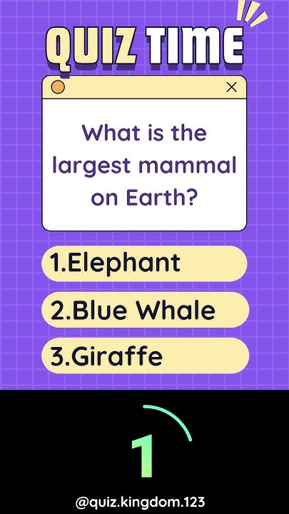 what-is-the-largest-mammal-on-earth-youtube
