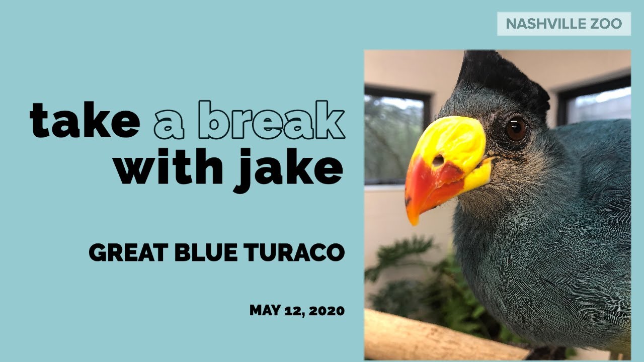 IG Live Replay: Take a Break with Jake & Perry