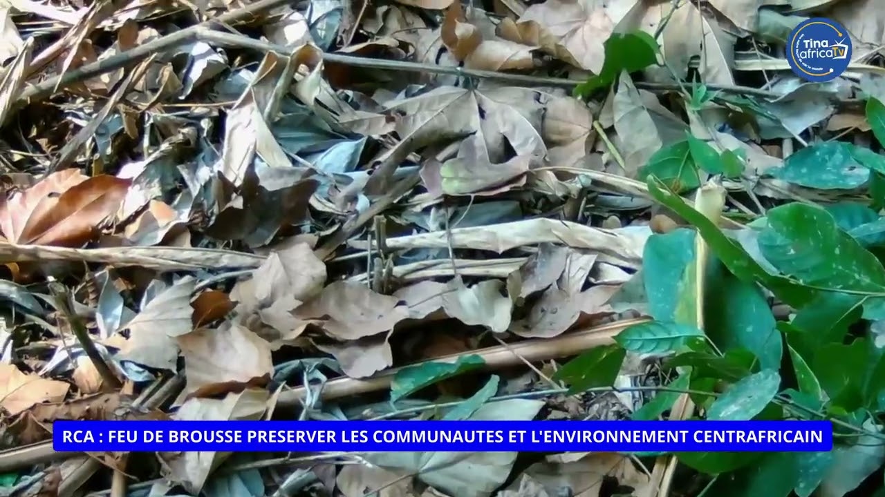 RCA: Feu de brousse, préserver la nature et les communautés centrafricaines