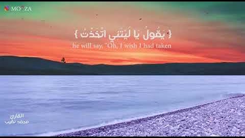 و يوم يعض الظالم على يديه القارئ محمد نقيب