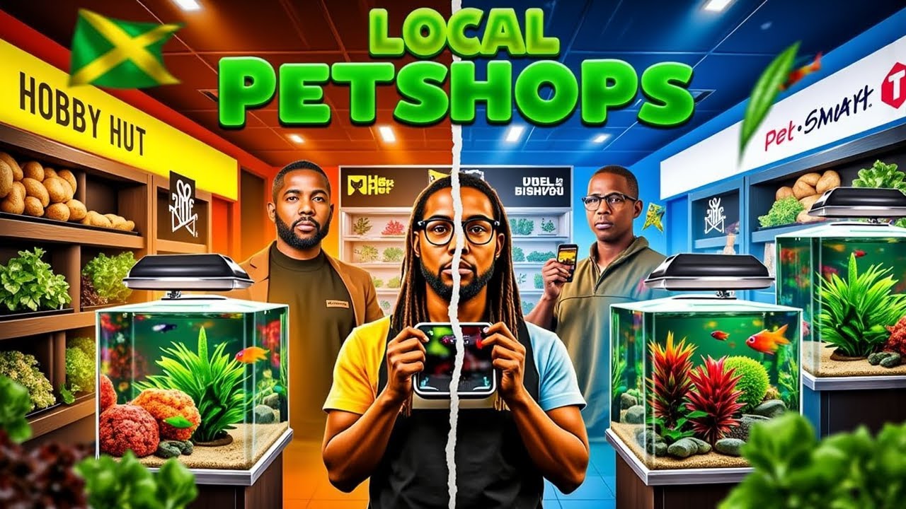 fresh-water-aquarium-and-marine-aquariums-hobby-hut-pet-shop-jm-vs