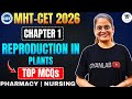 MHTCET 2026 | Chap 1 Reproduction In Plants | Most Important MCQ's & PYQ's | Gyanlab | Anjali Patel