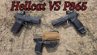 Sig P365 vs Springfield Hellcat