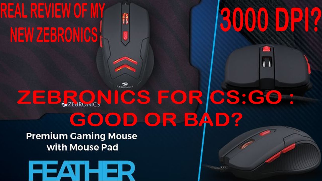 [Hindi] Should you buy Zebronics mouse for gaming?[CS:GO] - YouTube