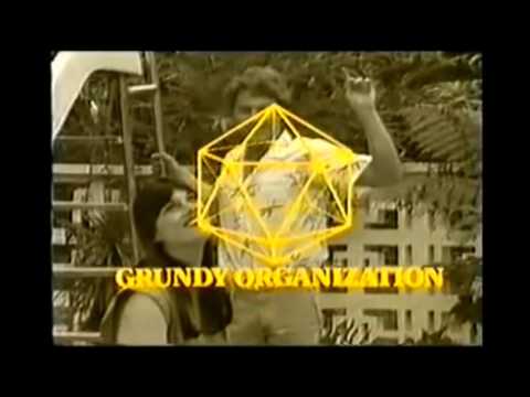 The Grundy Organization Seven Network 1981 