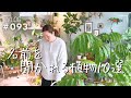 【10選】名前を聞かれる植物（Vlog/093）