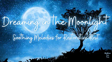Dreaming in the Moonlight | Soothing Melodies for Restorative Rest