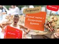 Распаковка Посылки в Израиле с AliExpress | Веселый Пикник с Белорусскими Друзьями