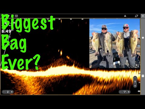 45lb Tournament Limit at ClearLake, how to Catch Them, and Monthly Giveaway!!!