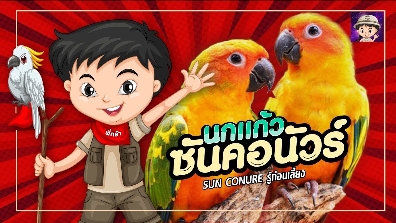 ซันคอนัวร์ รู้ก่อนเลี้ยง | สรุปเนื้อหาที่เกี่ยวข้องกับอาหาร ซัน คอ นัว ร์ล่าสุด มูล