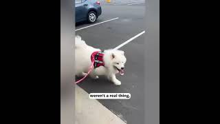 Aqoo 6Wnkuttfkbcy7Eevktsw9E9Zucwqe Zgallkap1Hf6Bfezki7 T4Uzhqyhfrsff4Fwusq01Tnlxyym1Ihoo