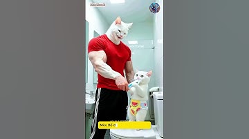 Mèo bố nghịch ngợm đổ lỗi cho mèo con #cats