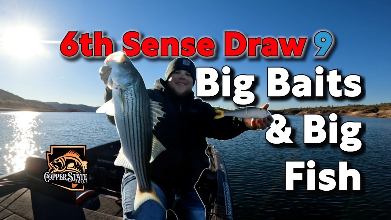 6th Sense Draw 9! Big Baits and Big Fish! 