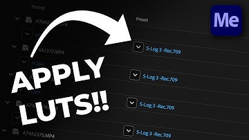 HOW to Apply a LUT to MULTIPLE CLIPS [Media Encoder]