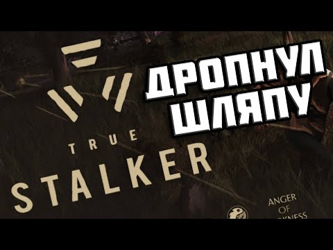 Видео: Коротко о True Stalker