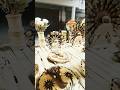 birsa Munda Park ke andar #minivlog #shortvideo