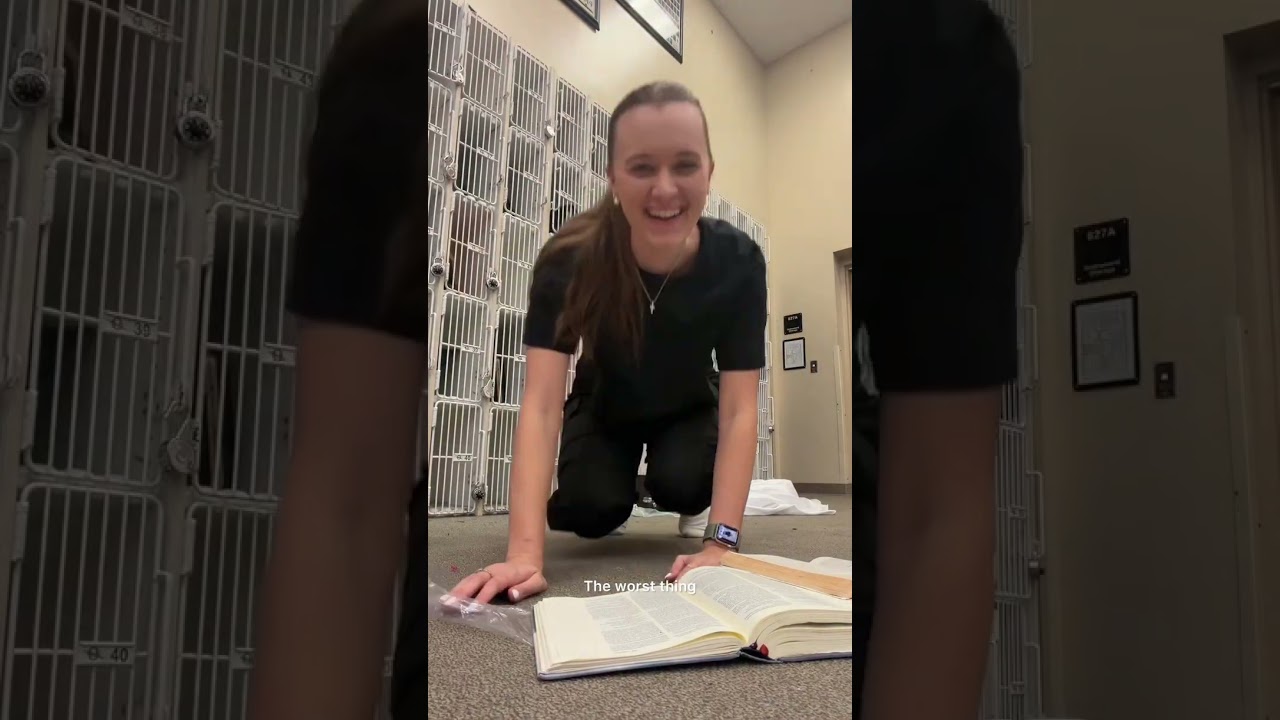 The devil learns from your mistakes, even if you don&rsquo;t. That how he keeps you in cycles.&rdquo;