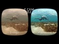 VR180 ZCAM E2 Underwater 10-Bit Color Correction Test 5.7K 60fps Oculus