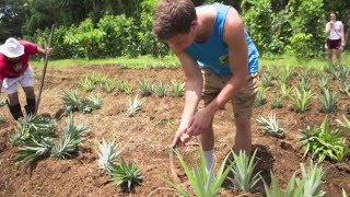 Field Trip - Environmental Sciences