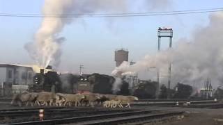 Steam of Tiefa Coal Mine Railway China(Feb.2003) 12 中国・鉄法炭鉱鉄道の蒸気機関車(2003年2月)12