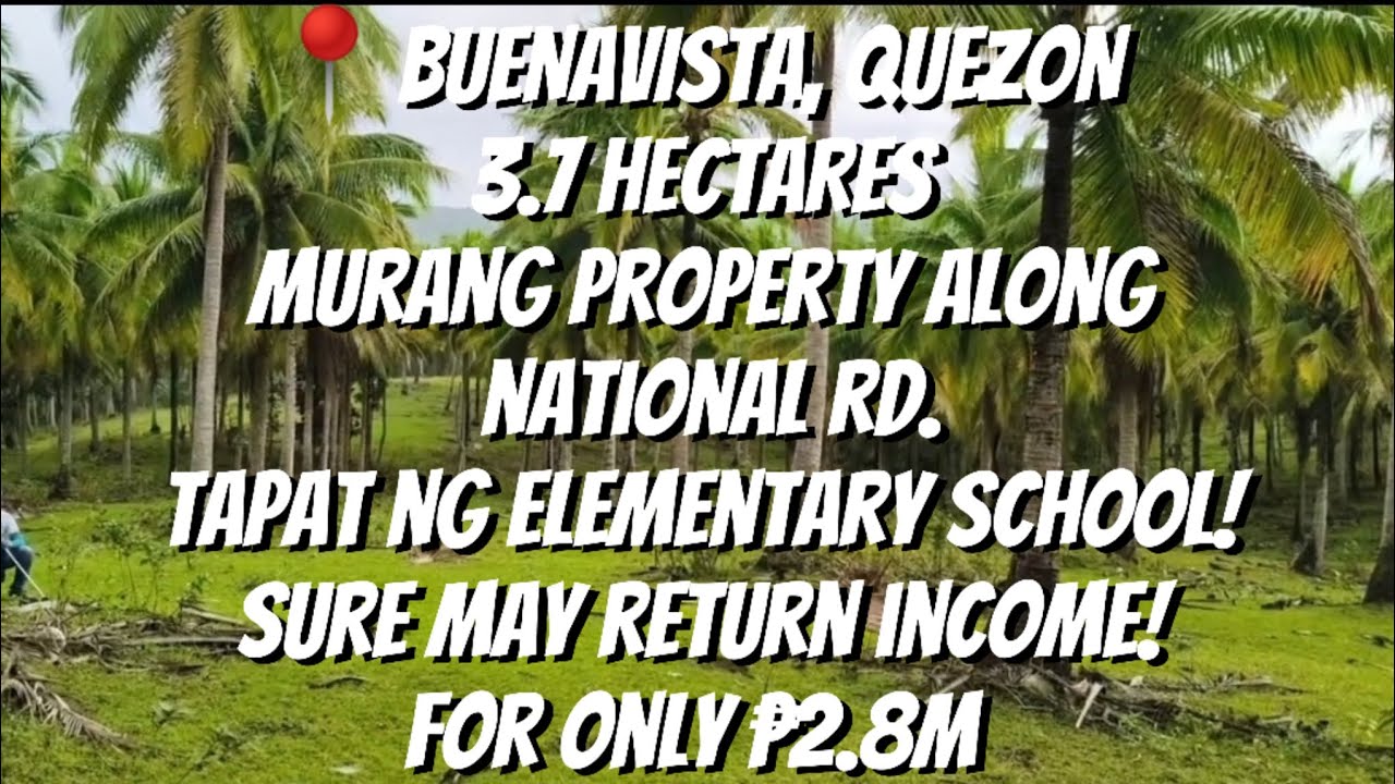 VLOG 124: BUENAVISTA,QUEZON/ 3.7HAS/ TAPAT NG SCHOOL/GOOD FOR BUSINESS/ ALONG NATIONAL RD PA!