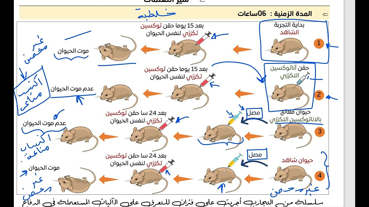 مراجعة مميزات المناعة النوعية الخلطية من خلال التجارب س4م